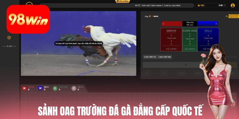 Sảnh OAG trường đá gà đẳng cấp quốc tế