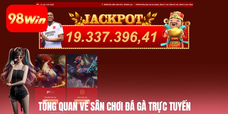 Tổng quan về sân chơi đá gà trực tuyến đẳng cấp