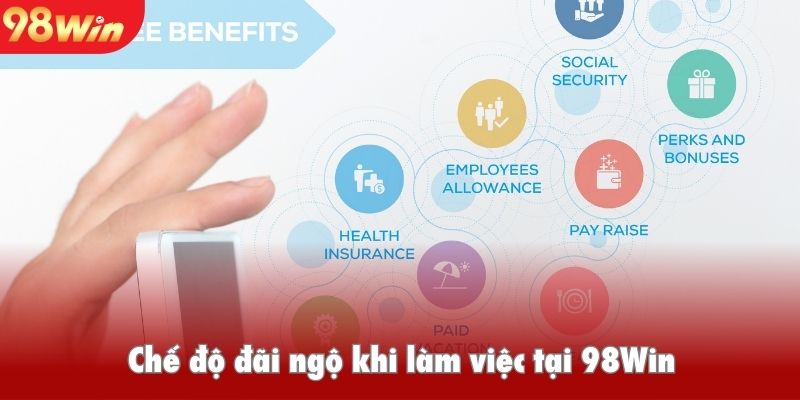 Chế độ đãi ngộ khi làm việc tại 98Win